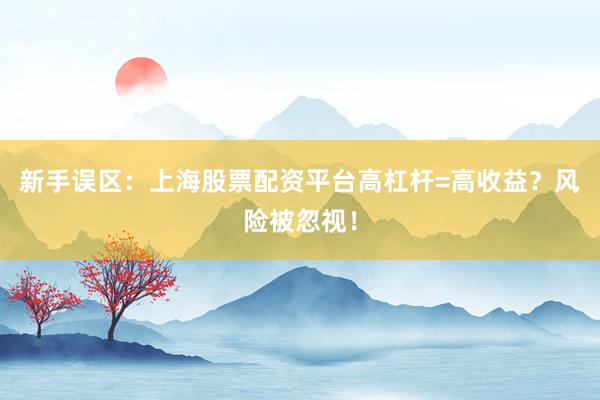 新手误区：上海股票配资平台高杠杆=高收益？风险被忽视！