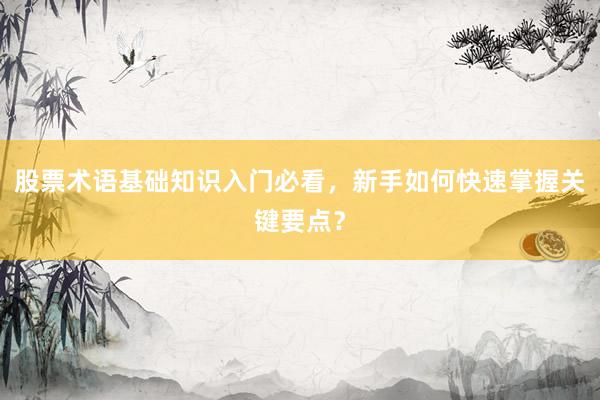 股票术语基础知识入门必看，新手如何快速掌握关键要点？