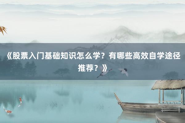 《股票入门基础知识怎么学？有哪些高效自学途径推荐？》