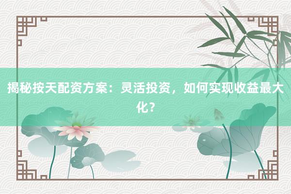 揭秘按天配资方案：灵活投资，如何实现收益最大化？