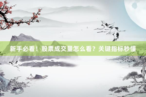 新手必看！股票成交量怎么看？关键指标秒懂