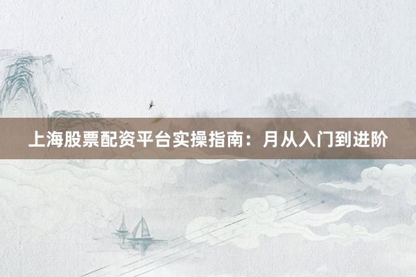 上海股票配资平台实操指南：月从入门到进阶