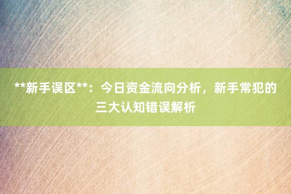 **新手误区**：今日资金流向分析，新手常犯的三大认知错误解析