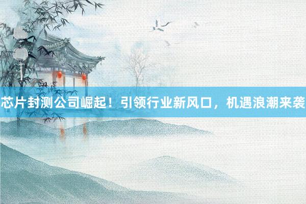 芯片封测公司崛起！引领行业新风口，机遇浪潮来袭