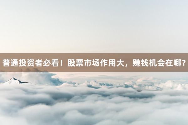 普通投资者必看！股票市场作用大，赚钱机会在哪？