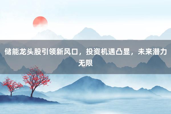 储能龙头股引领新风口，投资机遇凸显，未来潜力无限