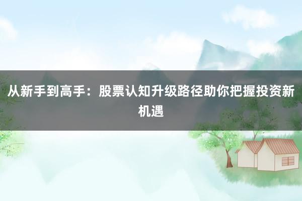从新手到高手：股票认知升级路径助你把握投资新机遇
