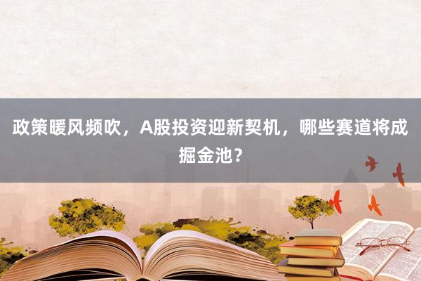 政策暖风频吹，A股投资迎新契机，哪些赛道将成掘金池？