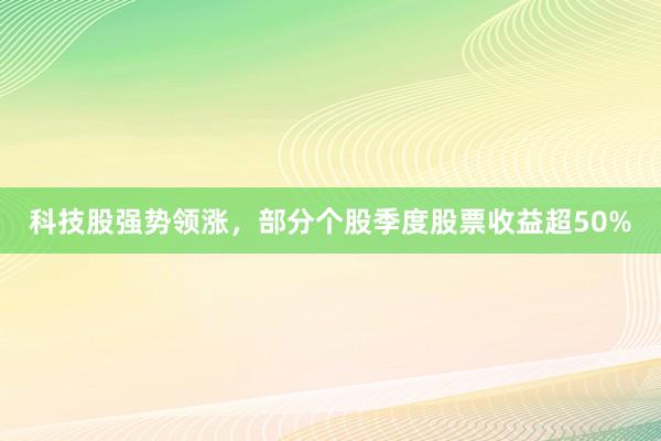 科技股强势领涨，部分个股季度股票收益超50%