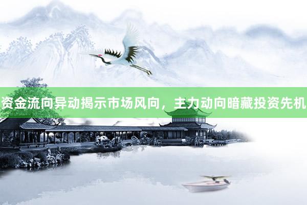 资金流向异动揭示市场风向，主力动向暗藏投资先机